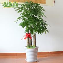重慶雙溪生態(tài)公園